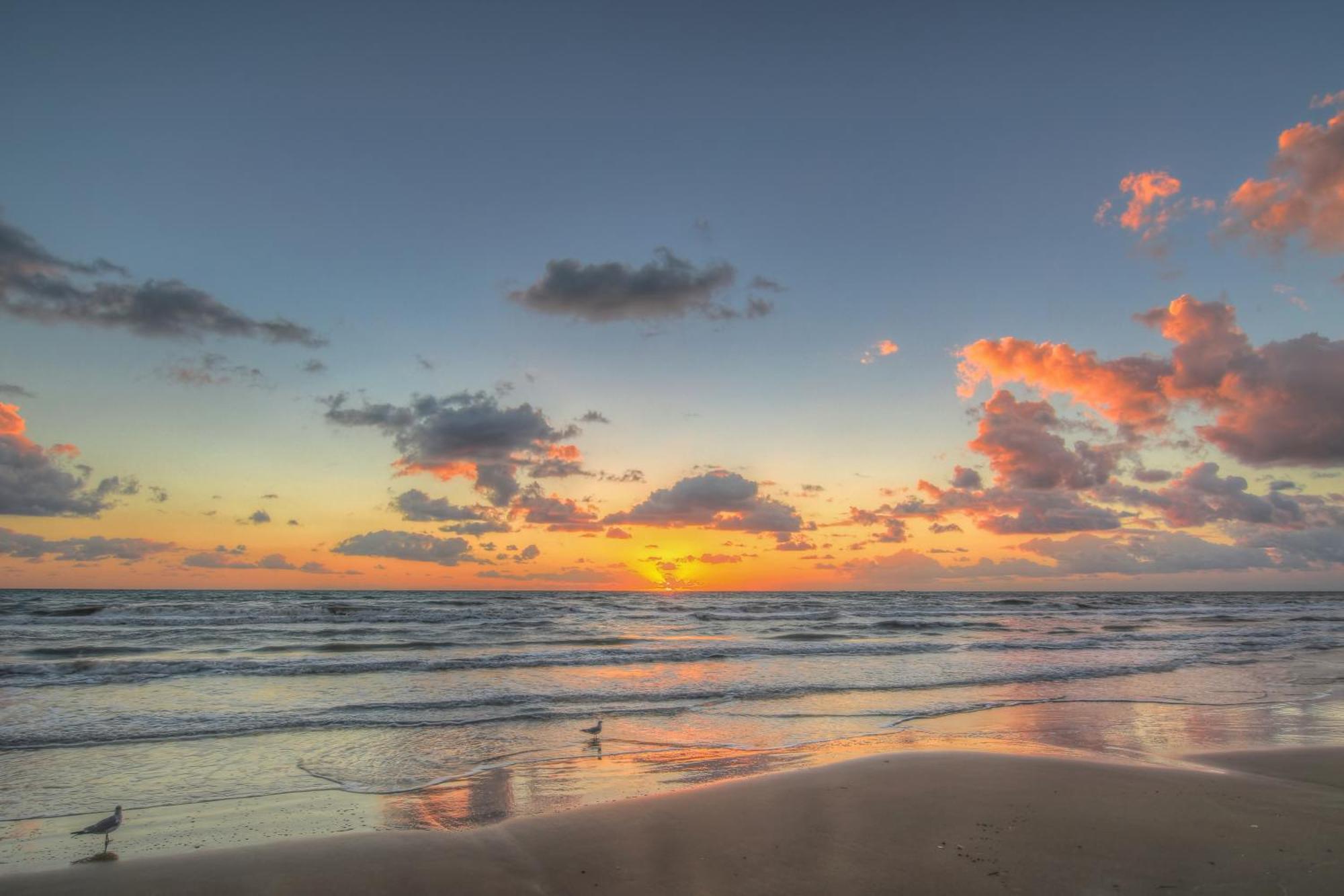 Sunchase IV Villa South Padre Island Værelse billede